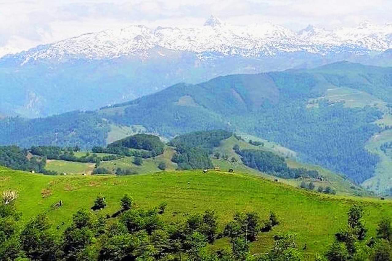 Maison " Elixondoa " Pagolle Bagian luar foto